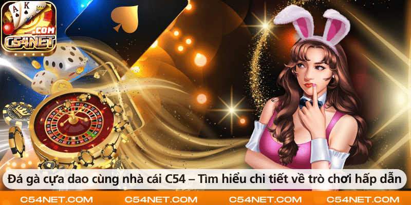 Đá gà cựa dao cùng nhà cái C54 – Tìm hiểu chi tiết về trò chơi hấp dẫn